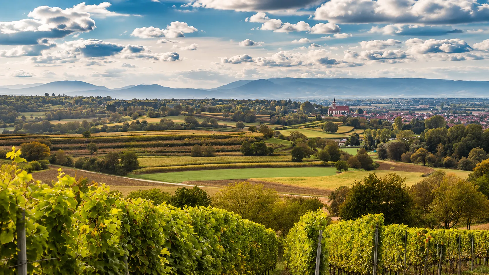 Luftansicht Ettenheim - Vergin Immobilien