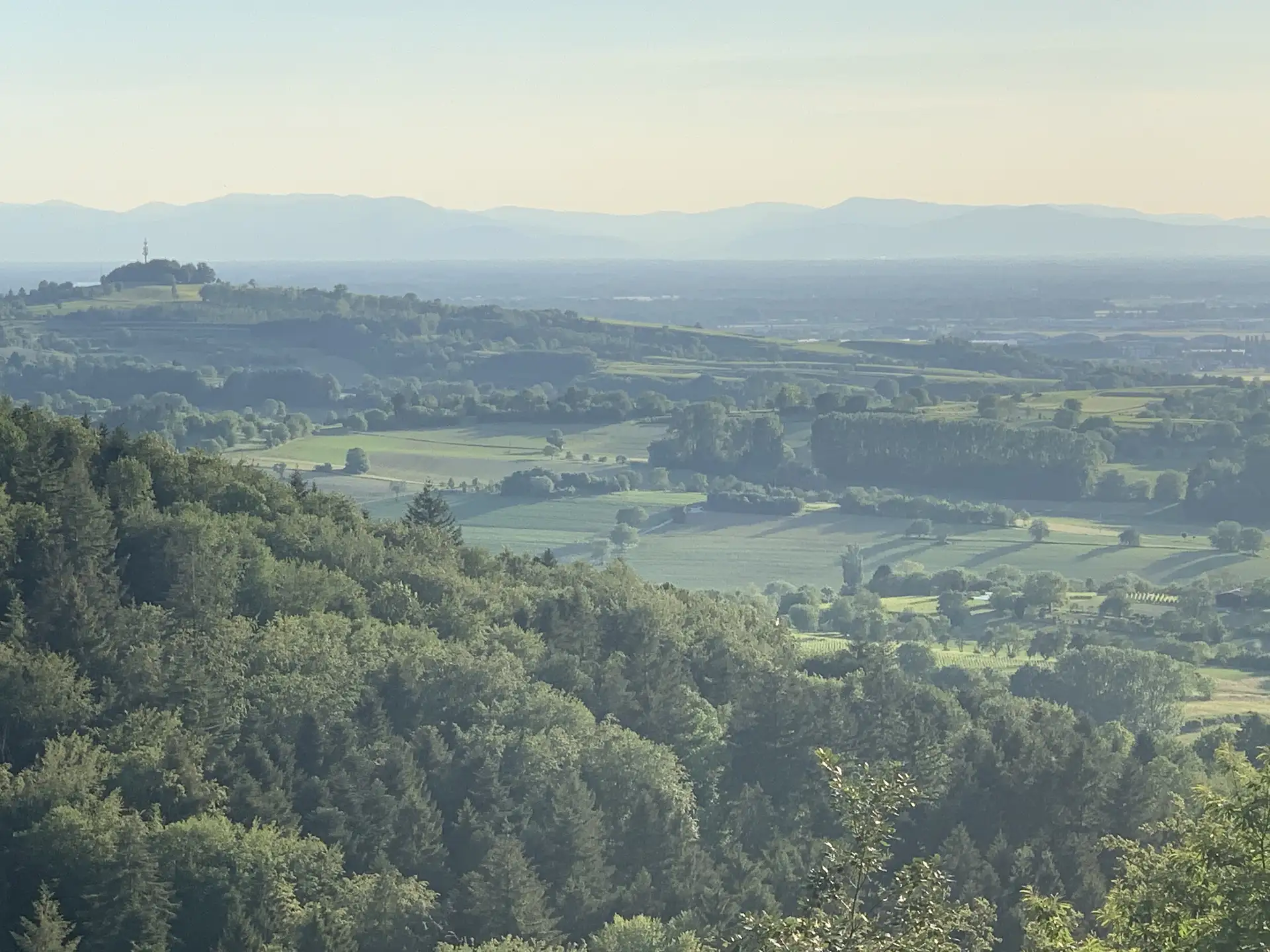 immobilienpreise-lahr-umkreis-friesenheim