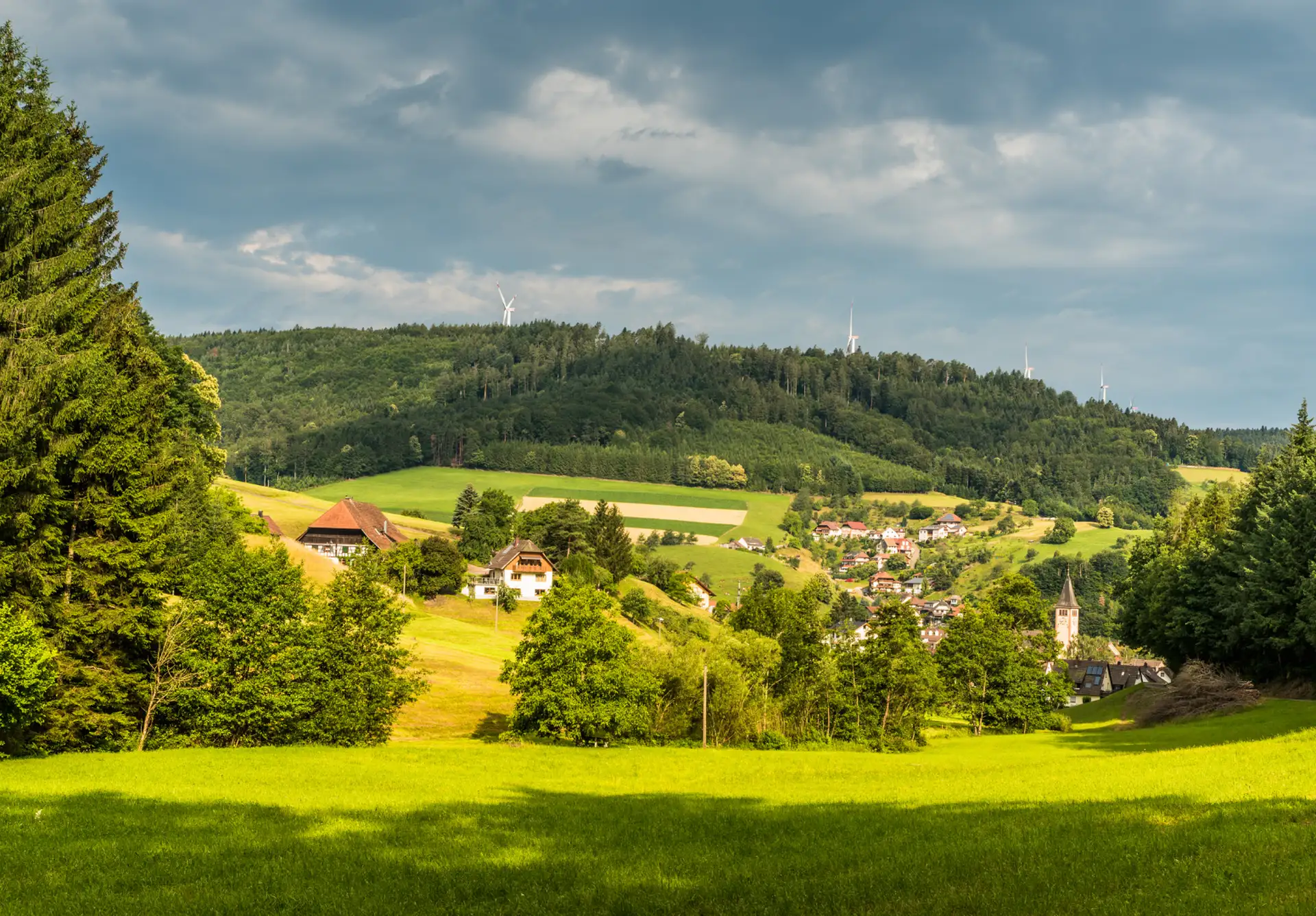 immobilienpreise-lahr-umkreis-schuttertal