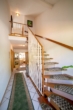 Einfamilienhaus mit ELW in Bestlage von Friesenheim-Heiligenzell - für den Käufer provisionsfrei! - Vergin-Immobilien- Eine Treppe in einem Haus mit einem grünen Teppich.