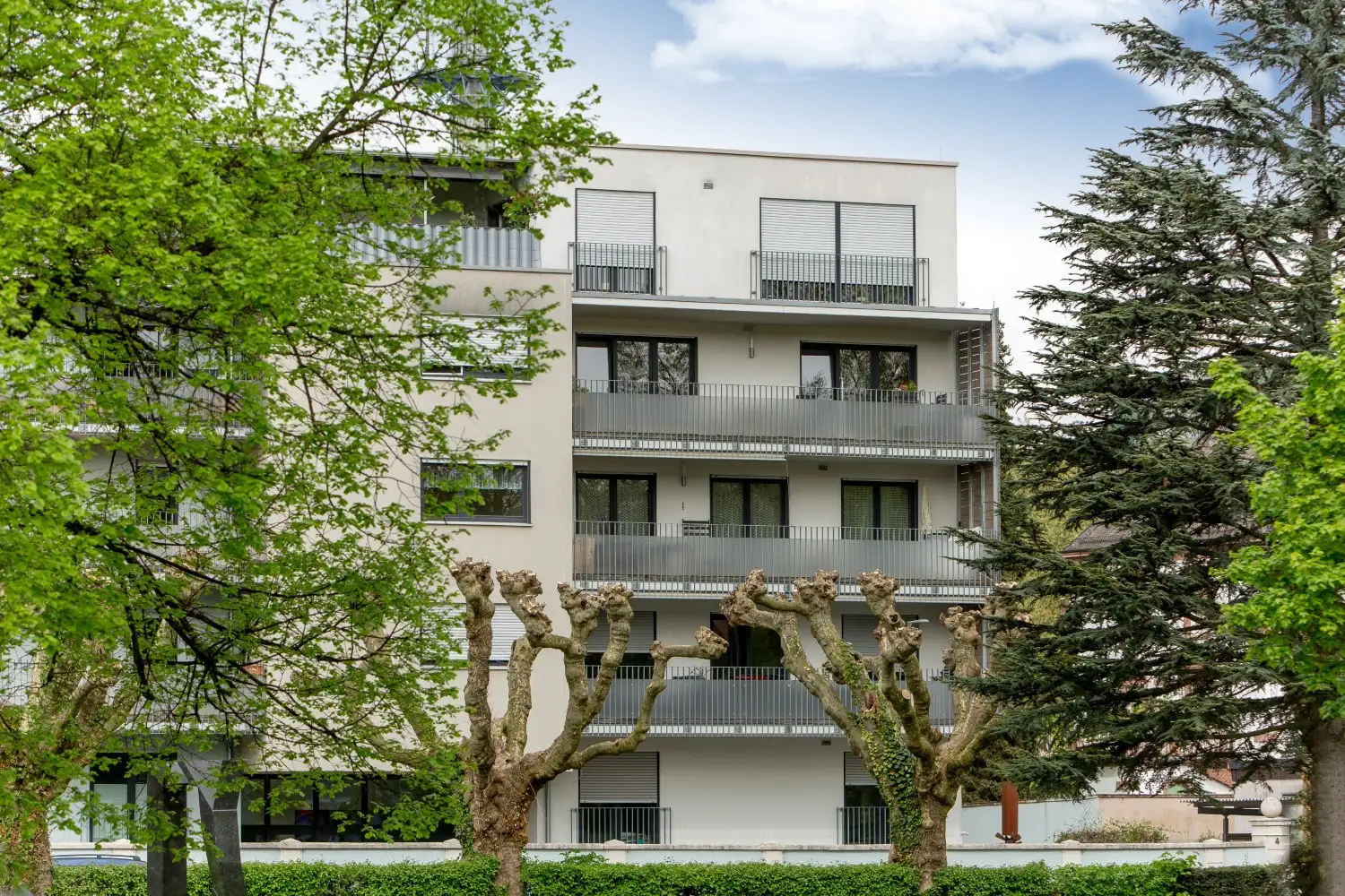 vergin-immobilien-wohnung-kaufen-lahr